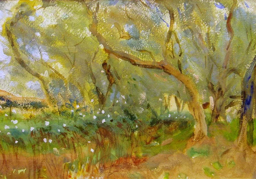 Paesaggio 1909 Corfù - Addison Gallery of American Art